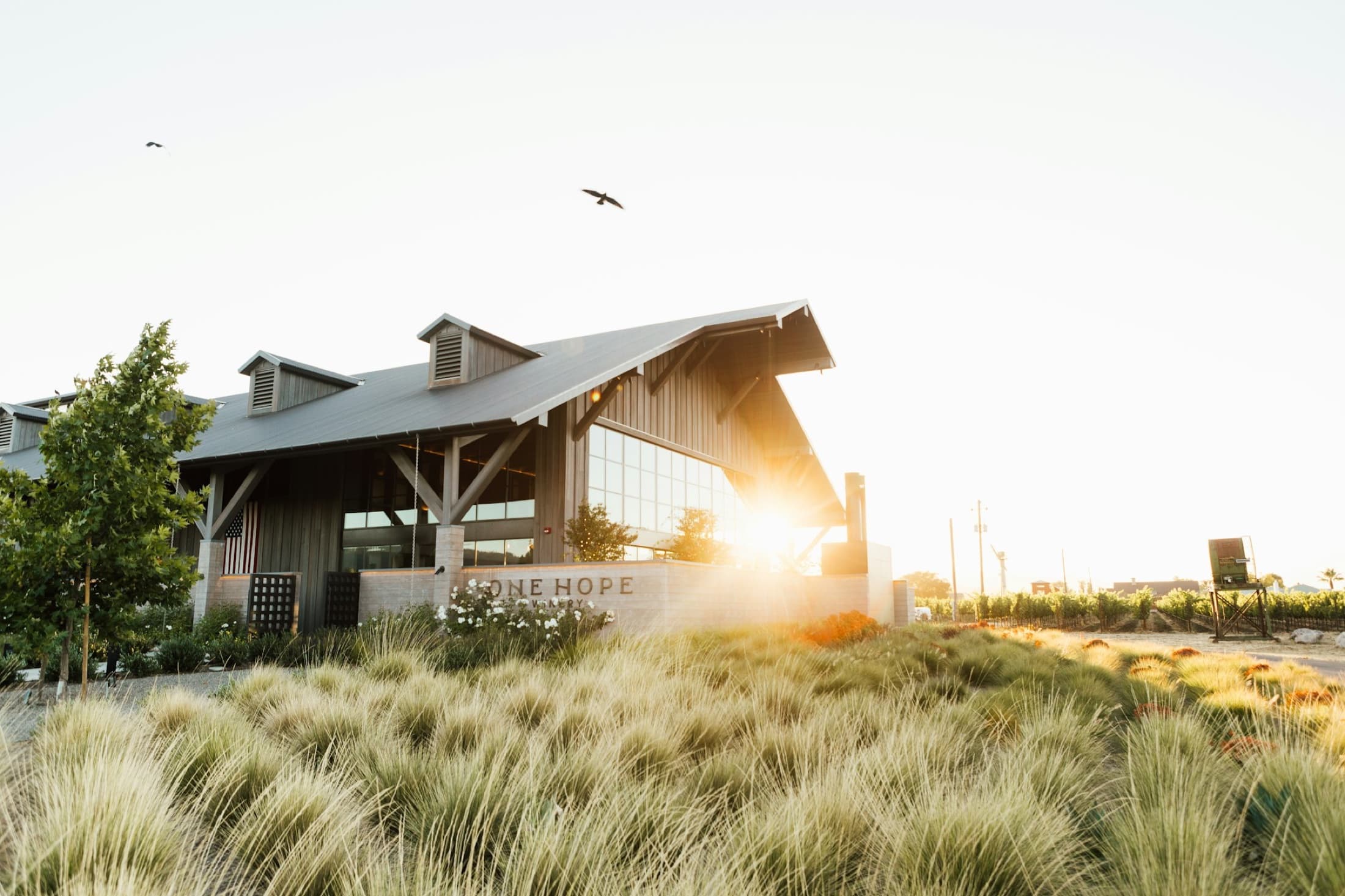 ONEHOPE winery and vineyards glowing in the Napa Valley sunset